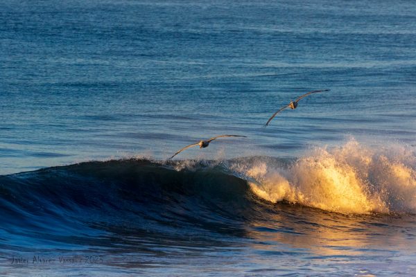 Shuttle from Antigua Guatemala to Monterrico Beach