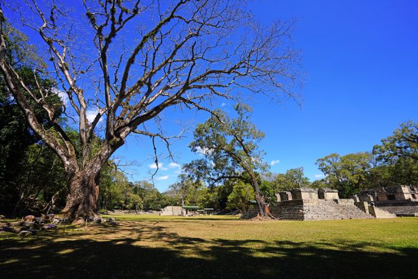 Shuttle from Antigua Guatemala to Copan Ruins
